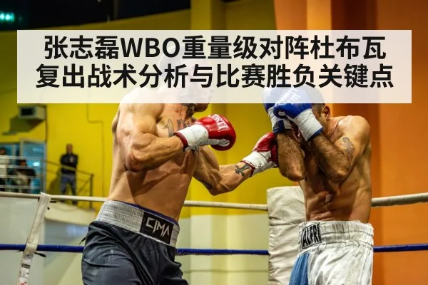 张志磊WBO重量级对阵杜布瓦复出战术分析与比赛胜负关键点