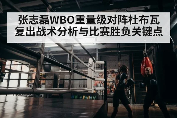 boxer training gym