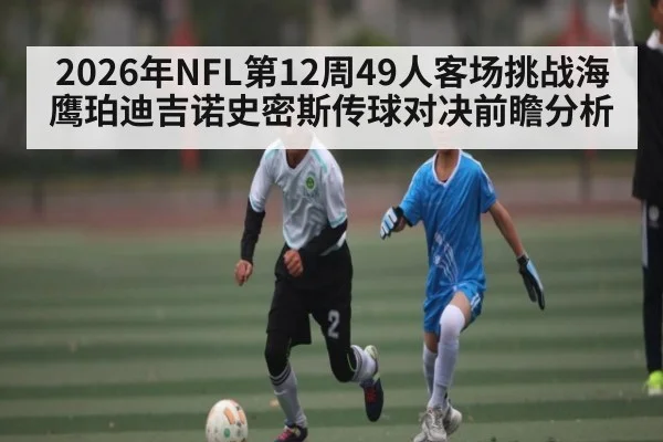 2026年NFL第12周49人客场挑战海鹰珀迪吉诺史密斯传球对决前瞻分析